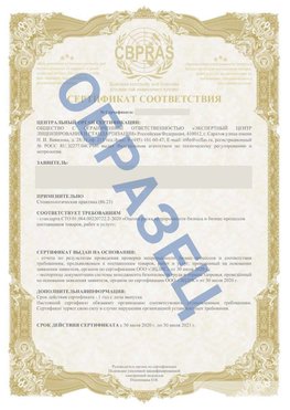 Образец Сертификат СТО 01.064.00220722.2-2020 Рудня Сертификат СТО 01.064.00220722.2-2020 
